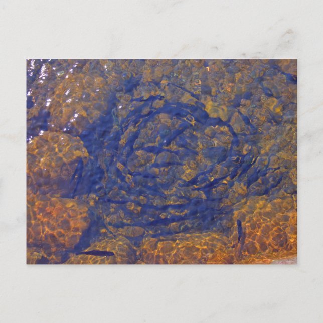 Cartão Postal Truta numa Bola Apertada num Pond, Charlevoix, MI (Frente)