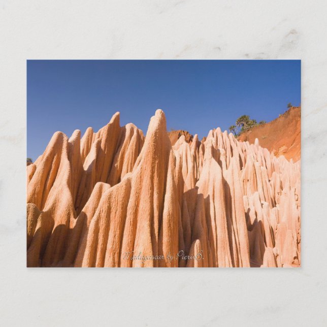 Cartão Postal Tsingy rouges de Madagascar (Frente)