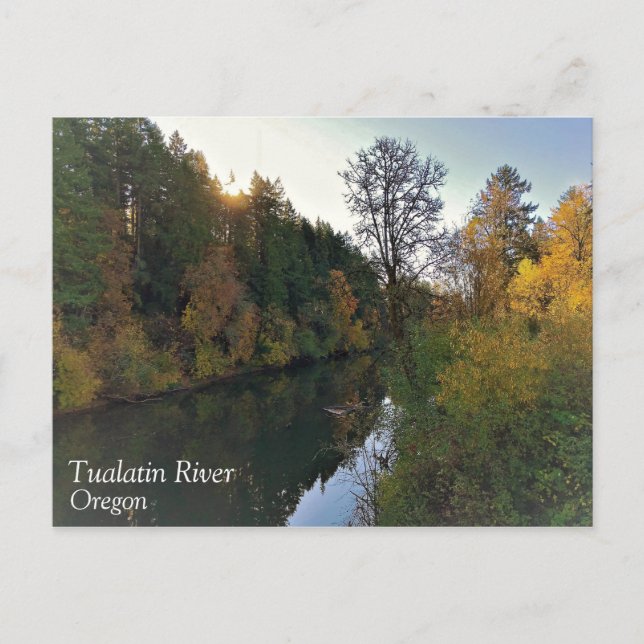 Cartão Postal Tualatin River, Oregon (Frente)