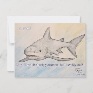 Cartão Postal Tubarão-touro
