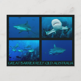 Cartão Postal Tubarões-recifes do mar de coral