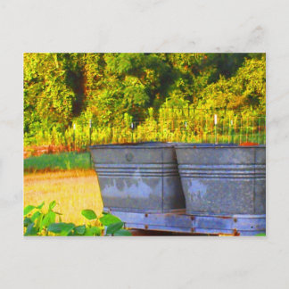 Cartão Postal Tubs de Nola