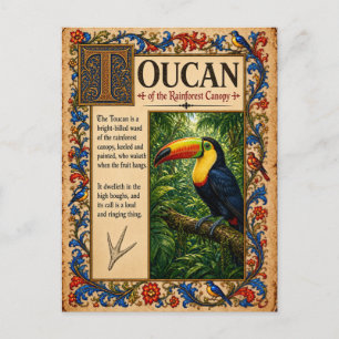 Cartão Postal Tucano, Arte do Bestiário Medieval