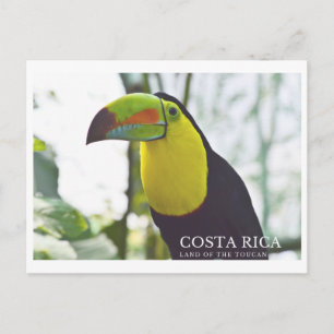 Cartão postal tucano na Costa Rica