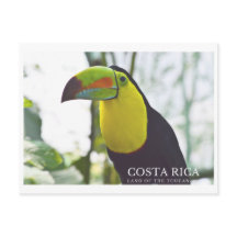 Cartão postal tucano na Costa Rica
