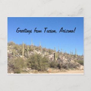 Cartão Postal Tucson Arizona Deserto Sudoeste Saguaro