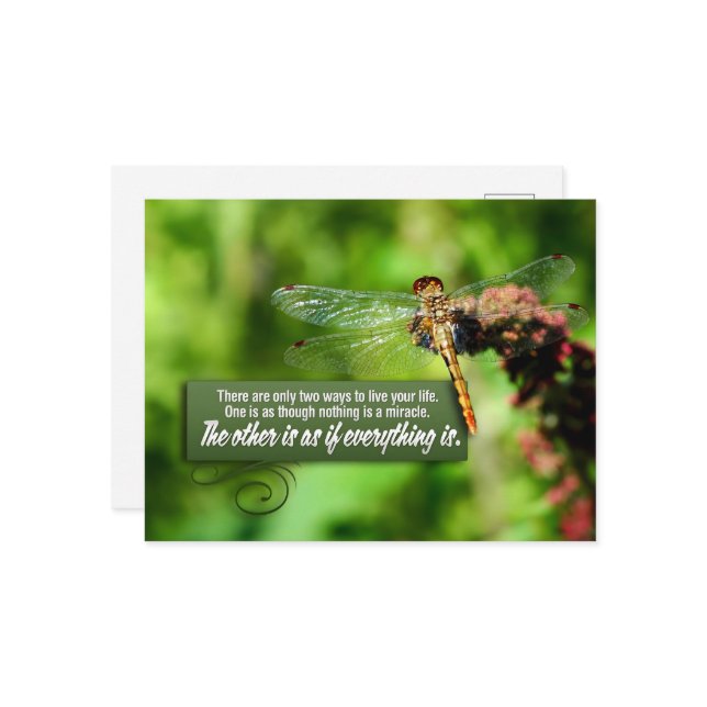 Cartão Postal "Tudo é um milagre", citação inspiracional (Frente/Verso In Situ)