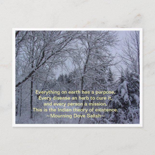 Cartão Postal Tudo na Terra (Frente)