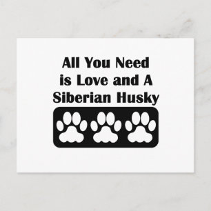 Cartão Postal Tudo que você precisa é amor e um rouco Siberian