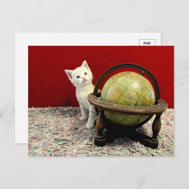 Cartão Postal Tuffy McDuff ao redor do mundo - Cat / Kitten (Frente/Verso)