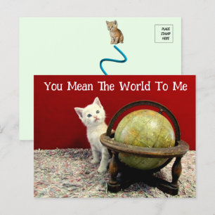 Cartão Postal Tuffy McDuff Gato / Kit Personalizado Mundo 