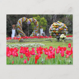 Cartão Postal Tulip [Cartão postal]