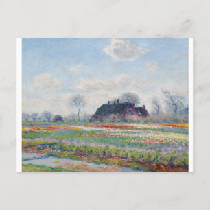 Cartão Postal Tulip Fields em Sassenheim por Claude Monet