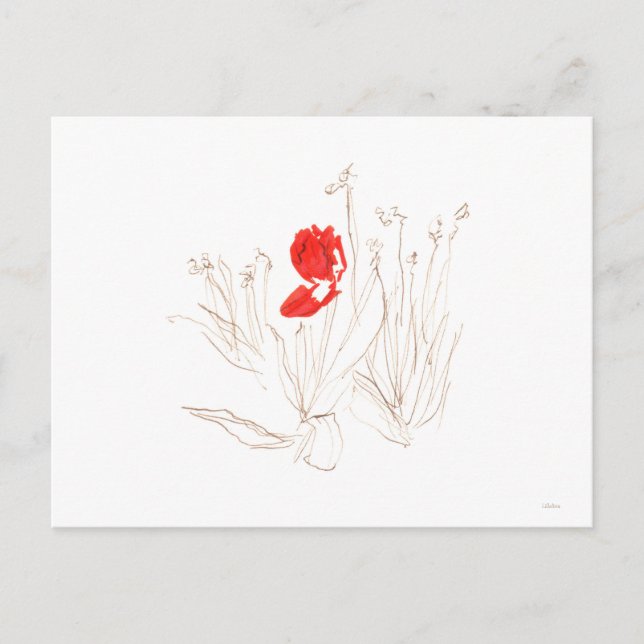 Cartão Postal Tulipa adorável no poster de vento e chuva (Frente)