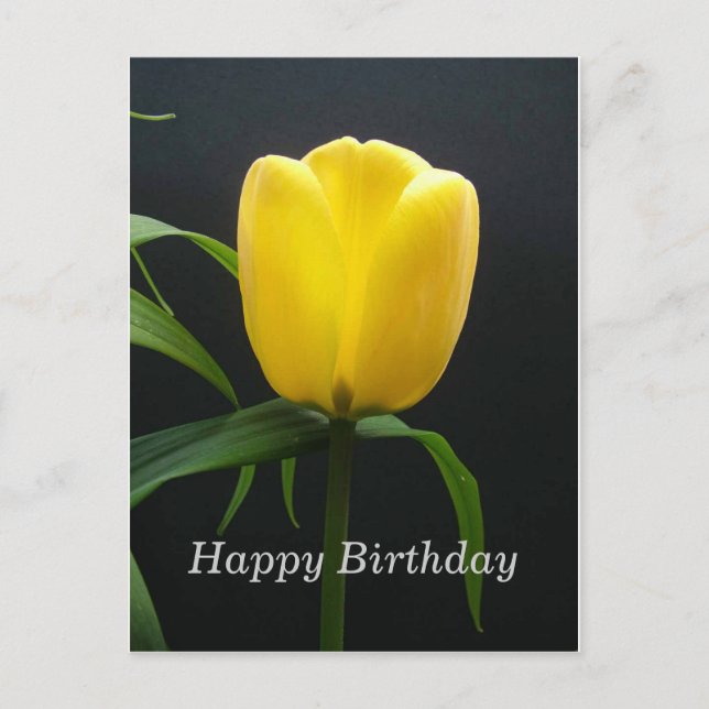 Cartão Postal tulipa amarela feliz aniversário (Frente)