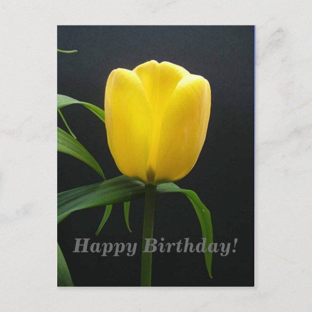 Cartão Postal tulipa amarela feliz aniversário (Frente)