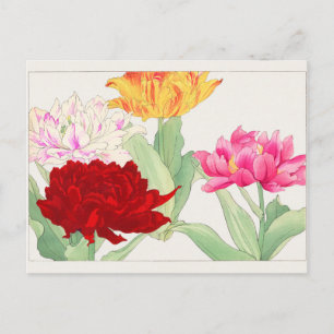 Cartão Postal Tulipa de Tanigami Konan