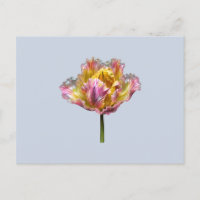 Tulipa holográfica embaralhada iridescente