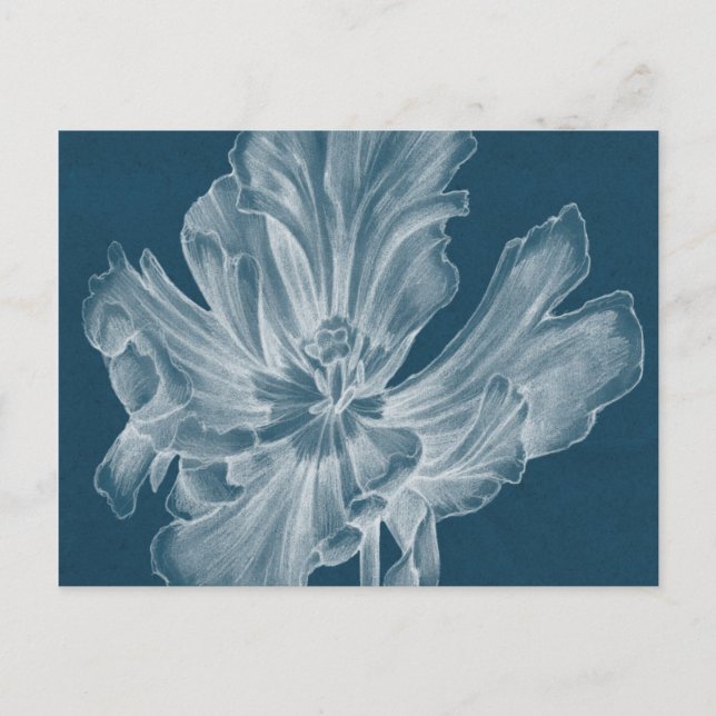 Cartão Postal Tulipa II monocromática (Frente)