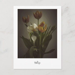 Cartão Postal "tulipa" por Heidi Rondak Fotografia