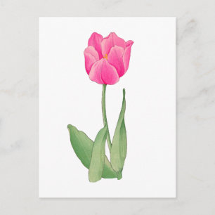 Cartão Postal Tulipa rosa, arte japonês vintage 12 x 1`6