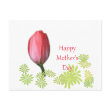 tulipa vermelha, dia de as mães feliz