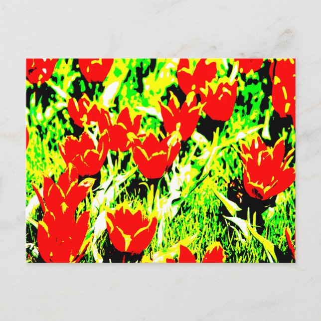 Cartão Postal Tulipas (Frente)