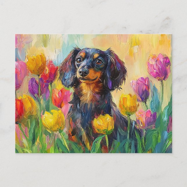 Cartão Postal Tulipas Coloridas Bonitas Dachshund (Frente)