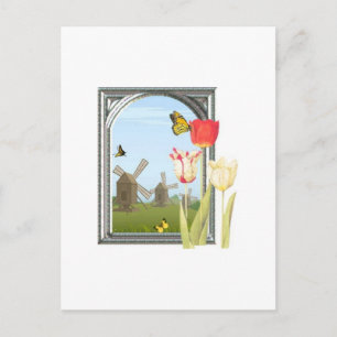 Cartão Postal Tulipas de Amsterdã