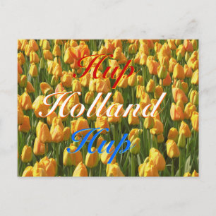Cartão Postal Tulipas de Laranja Azul Azul-Vermelho Hup Holland