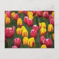 Tulipas de primavera