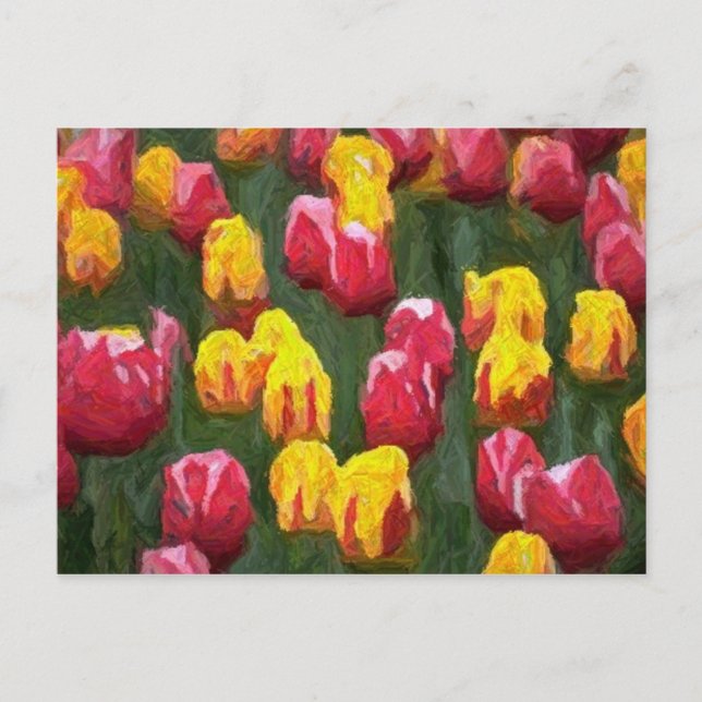 Cartão Postal Tulipas de primavera (Frente)