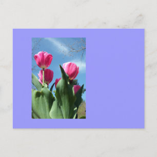 Cartão Postal Tulipas de torre