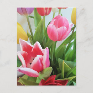 Cartão Postal Tulipas do Buquê da Flor primavera, Floral, Natur