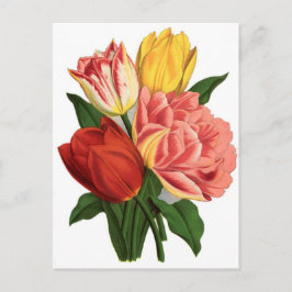 Cartão Postal tulipas florescem vinhas de vinhas lindas flores