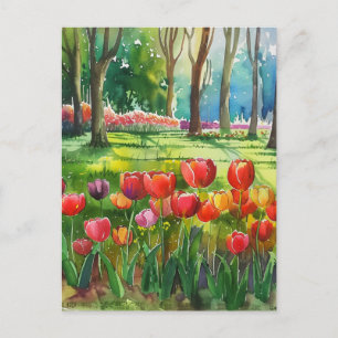 Cartão Postal Tulipas no Parque
