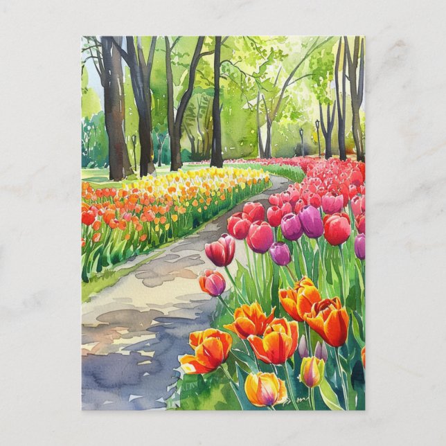 Cartão Postal Tulipas no Parque (Frente)