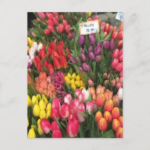Cartão Postal Tulipas para Venda de Flores NYC Corner Bodega Fot