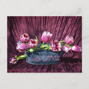 Cartão Postal Tulipas para você...