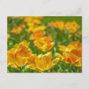 Cartão Postal Tulipas Pintadas