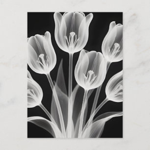Cartão Postal Tulipas Pretas e Brancas Elegantes Monocromáticas