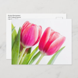 Cartão Postal Tulipas Rosa com Foto de Folhas Verdes