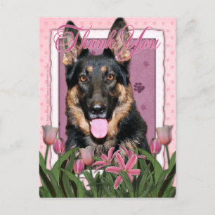 Cartão Postal - Tulipas Rosa - German shepherd - Kuno