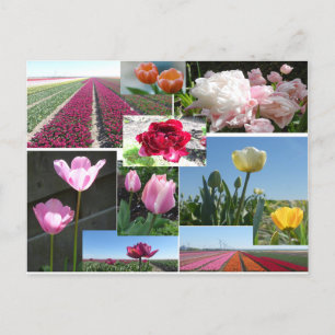 Cartão postal Tulips Collage DIY
