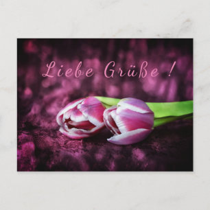 Cartão Postal Tulpen Gruß