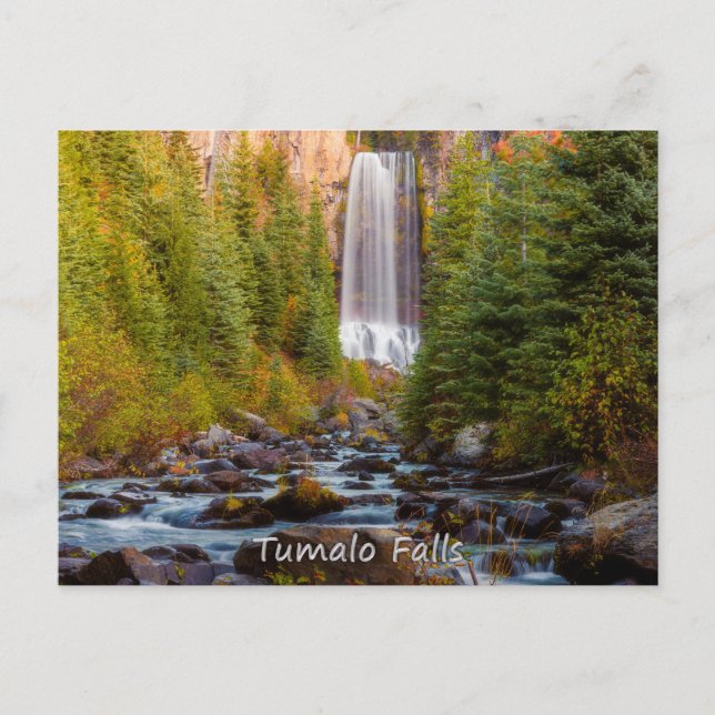 Cartão Postal Tumalo Falls (Frente)