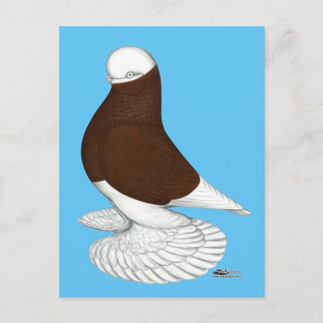 Cartão Postal Tumbler:  Balde Vermelho Mufado (Frente)