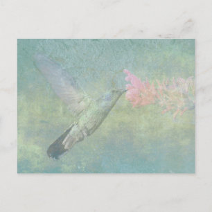Cartão Postal Tune do Hummingbird