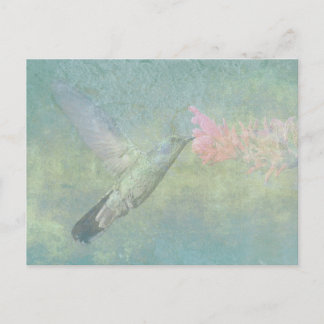 Cartão Postal Tune do Hummingbird