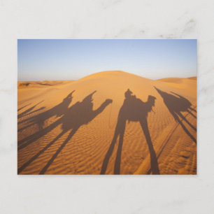 Cartão Postal Tunísia, Zona de Ksour, Ksar Ghilane, Grand Erg 5